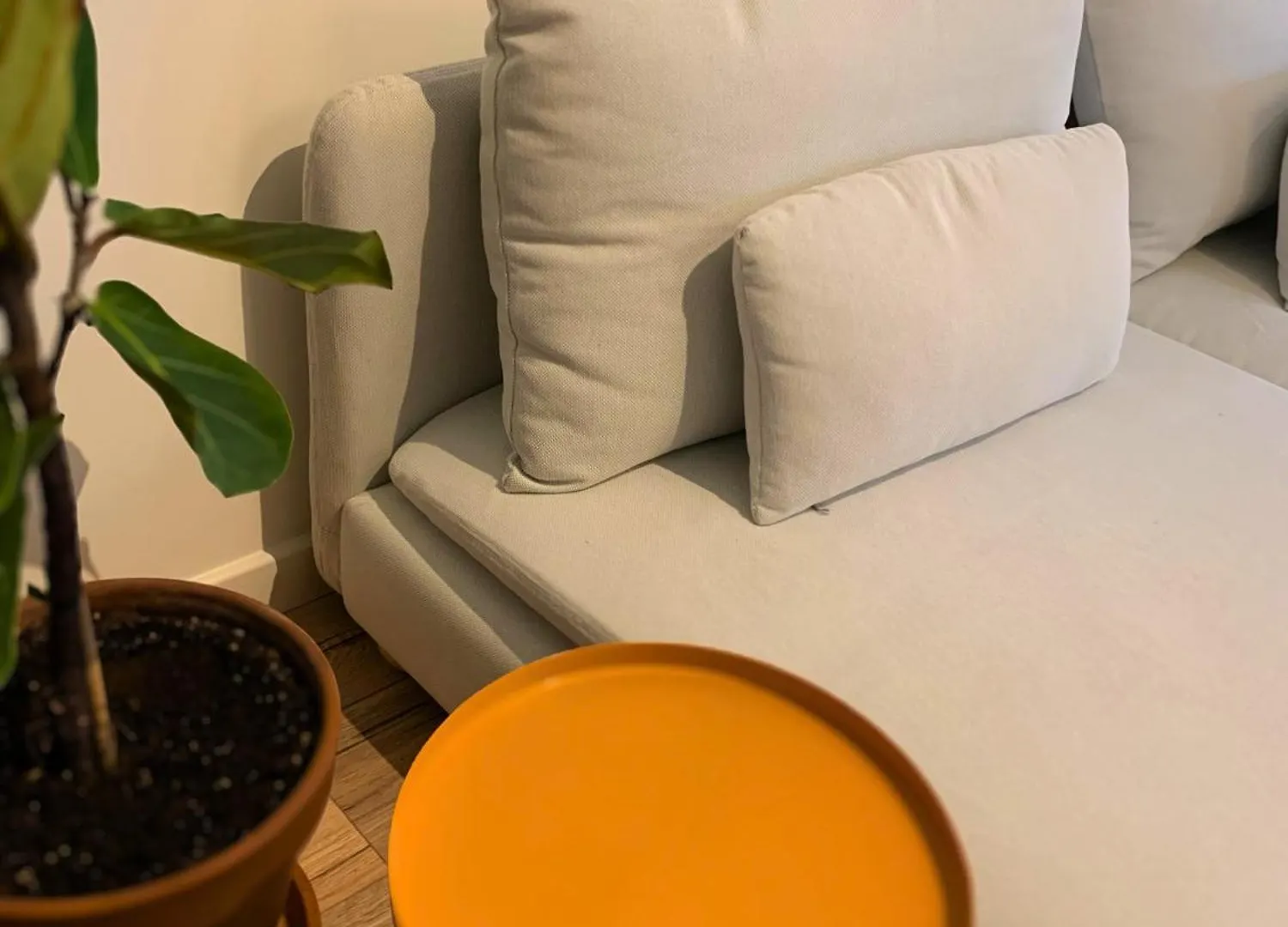 Nordic! 1 Bedroom Apartment Puerto de la Cruz  Spain
