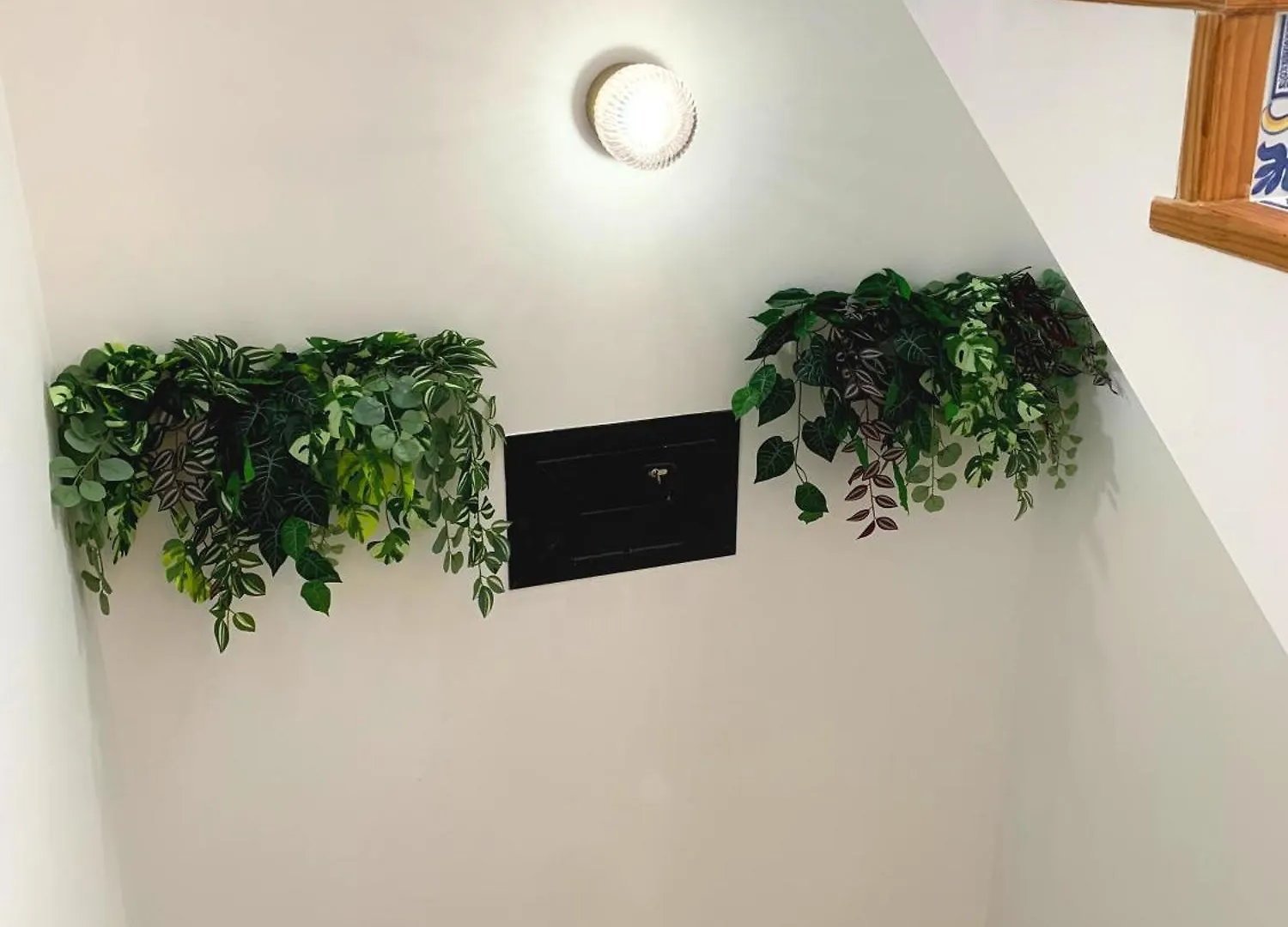 Nordic! 1 Bedroom Apartment Puerto de la Cruz   Puerto de la Cruz (Tenerife)